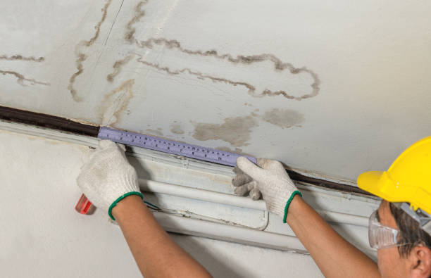 Reliable Water Damage contractor in McMinnville, OR by Water Damage Irwin